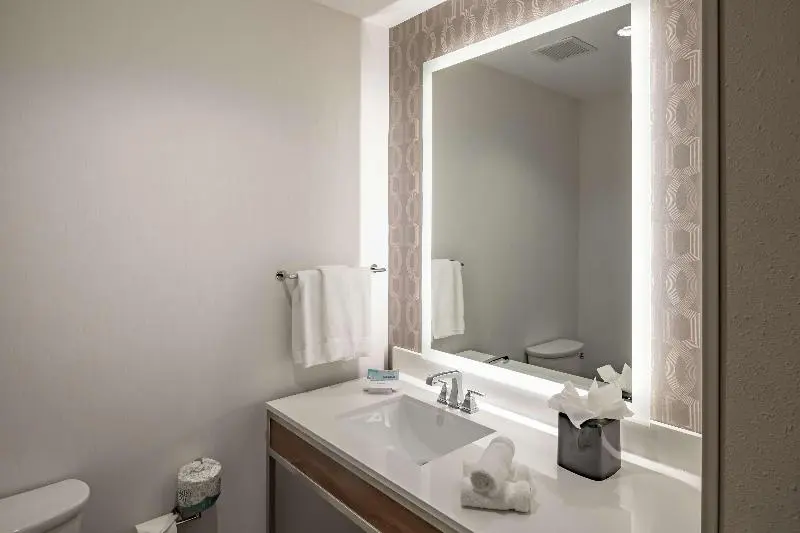キングサイズベッドのスタンダードルーム, Hilton Garden Inn Dallas  At Hurst Conference Center