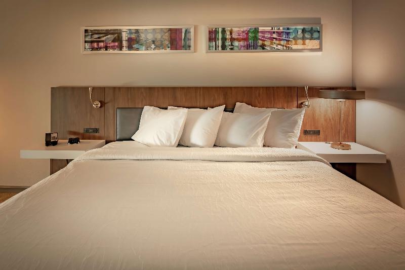 חדר סטנדרט עם מיטת קינג, Hilton Garden Inn Dallas  At Hurst Conference Center