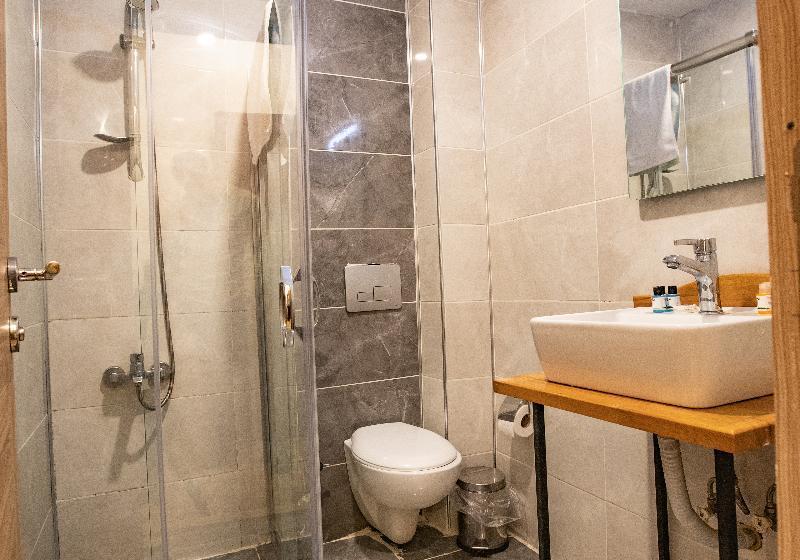 חדר פרמיום, Hilton Garden Inn Dallas  At Hurst Conference Center