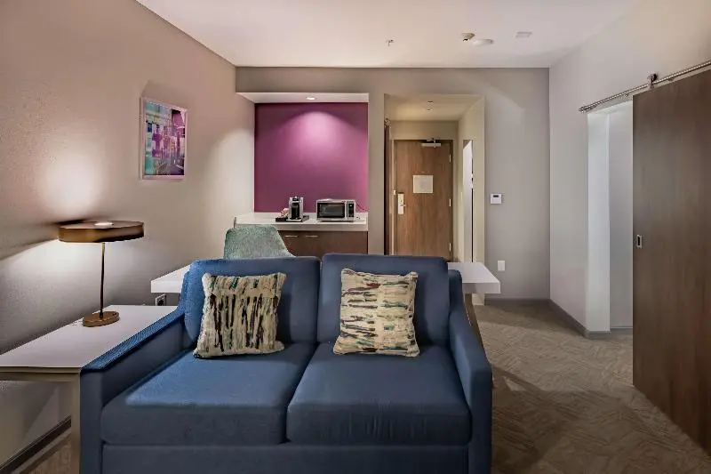 キングサイズベッドのスイートルーム, Hilton Garden Inn Dallas  At Hurst Conference Center