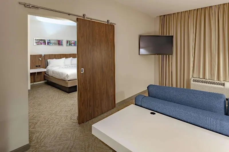 キングサイズベッドのスイートルーム, Hilton Garden Inn Dallas  At Hurst Conference Center