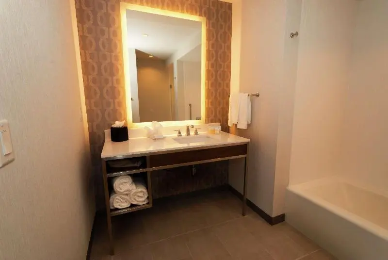 キングサイズベッドのスイートルーム, Hilton Garden Inn Dallas  At Hurst Conference Center