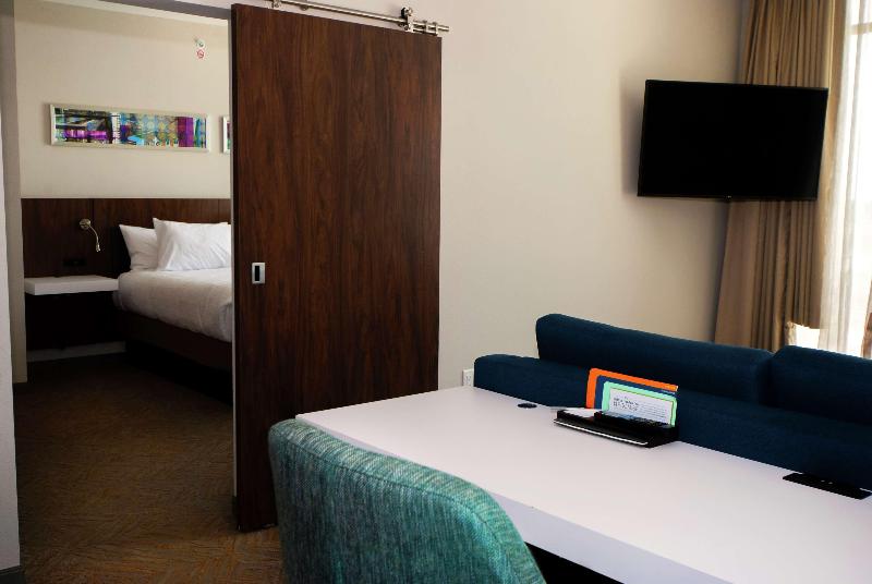 带大床的套房, Hilton Garden Inn Dallas  At Hurst Conference Center