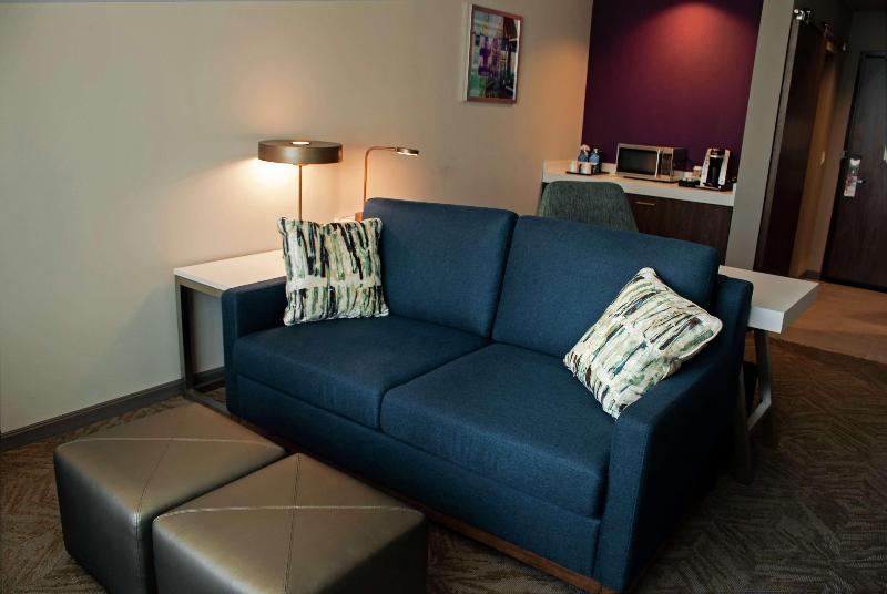 Люкс Кровать Кинг, Hilton Garden Inn Dallas  At Hurst Conference Center