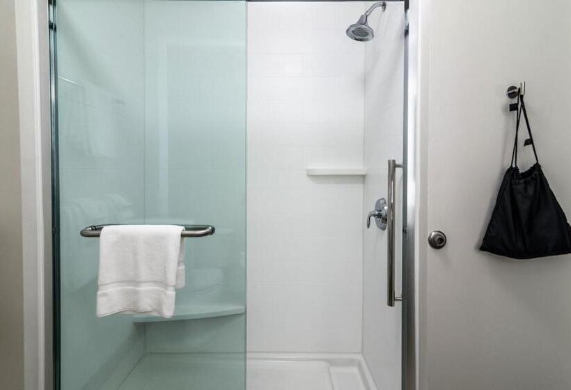 جناح, Holiday Inn Express & Suites Allen Park, An Ihg