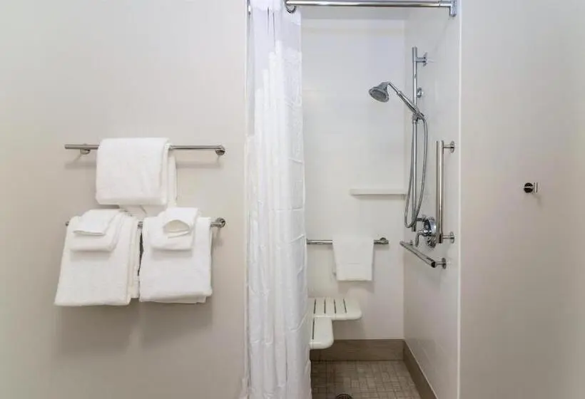 身障者適用キングサイズベッドルーム, Holiday Inn Express & Suites Allen Park, An Ihg