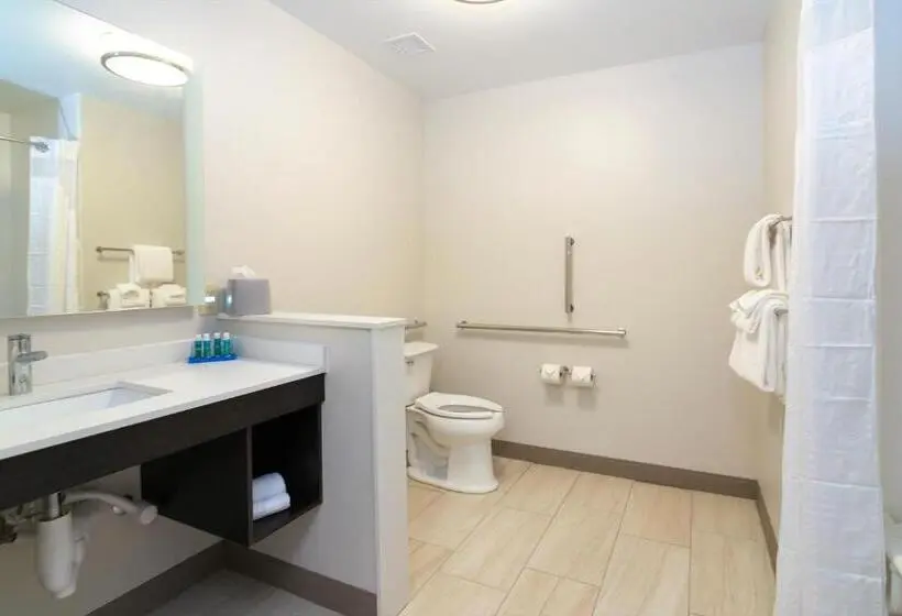 身障者適用スタンダードルーム, Holiday Inn Express & Suites Allen Park, An Ihg