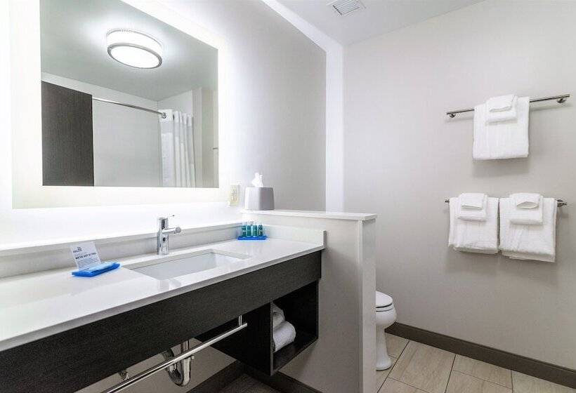 غرفة قياسية, Holiday Inn Express & Suites Allen Park, An Ihg