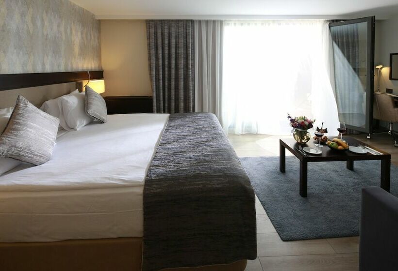 اتاق لوکس با تراس, Port Bosphorus