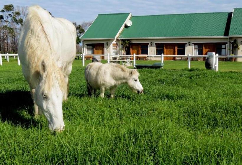 سوییت لوکس, Tniqua Stable Inn