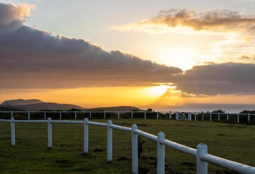 بانگلوی استاندارد, Tniqua Stable Inn
