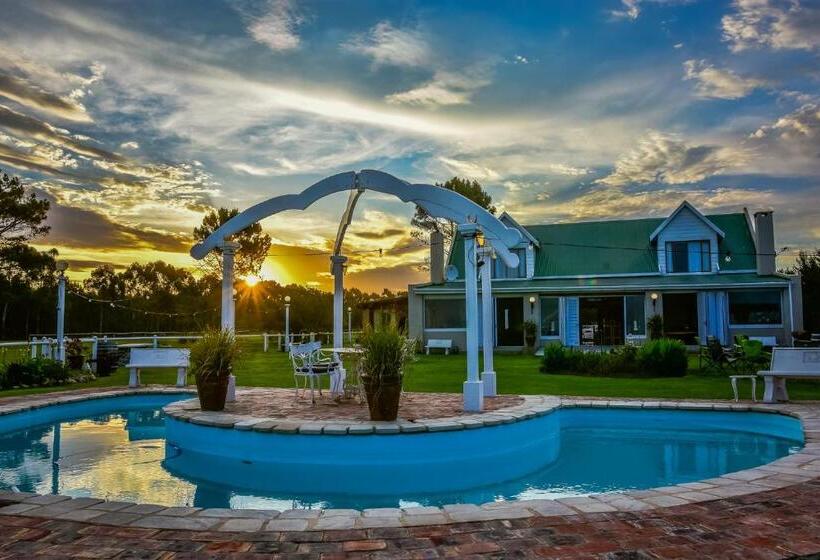 اتاق لوکس خانوادگی, Tniqua Stable Inn