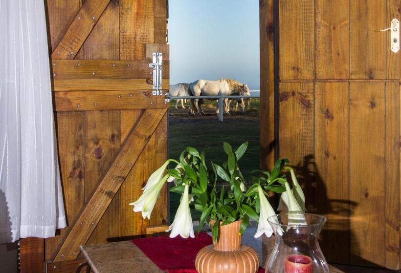 اتاق استاندارد چهار تخته با چشم‌انداز دریا, Tniqua Stable Inn