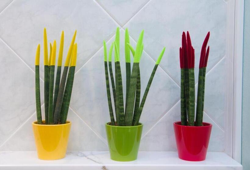 스탠다드 룸, Villa Luca