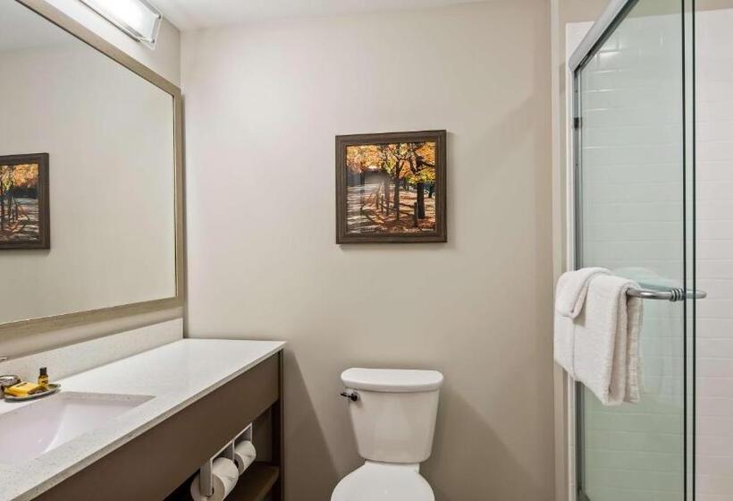 غرفة قياسية سرير كينج, Best Western Plus Bolivar Hotel & Suites