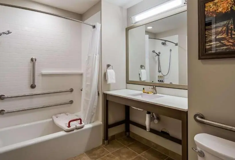 身障者適用キングサイズベッドルーム, Best Western Plus Bolivar Hotel & Suites