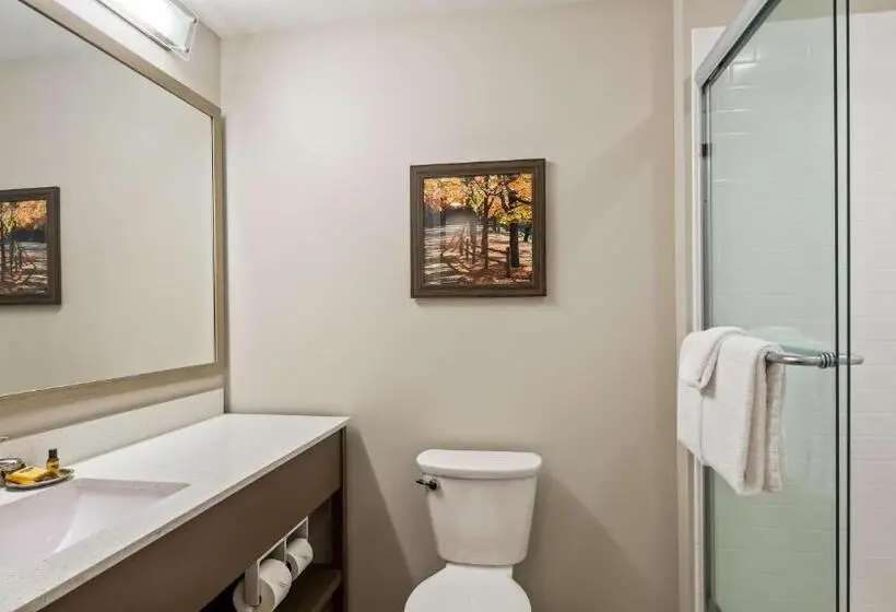 キングサイズベッドのスイートルーム, Best Western Plus Bolivar Hotel & Suites