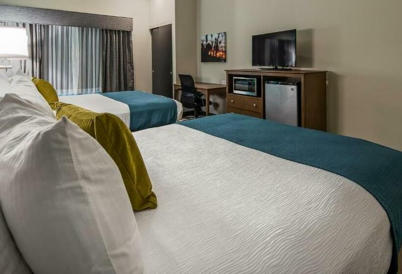 适合残疾人使用的标准间, Best Western Plus Bolivar Hotel & Suites
