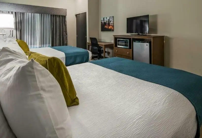 身障者適用スタンダードルーム, Best Western Plus Bolivar Hotel & Suites