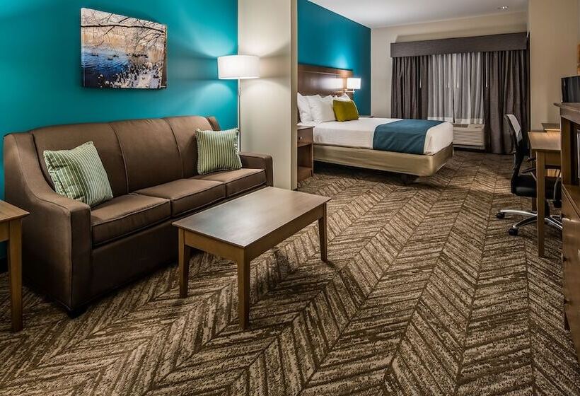 جناح لذوى الاحتياجات الخاصة, Best Western Plus Bolivar Hotel & Suites