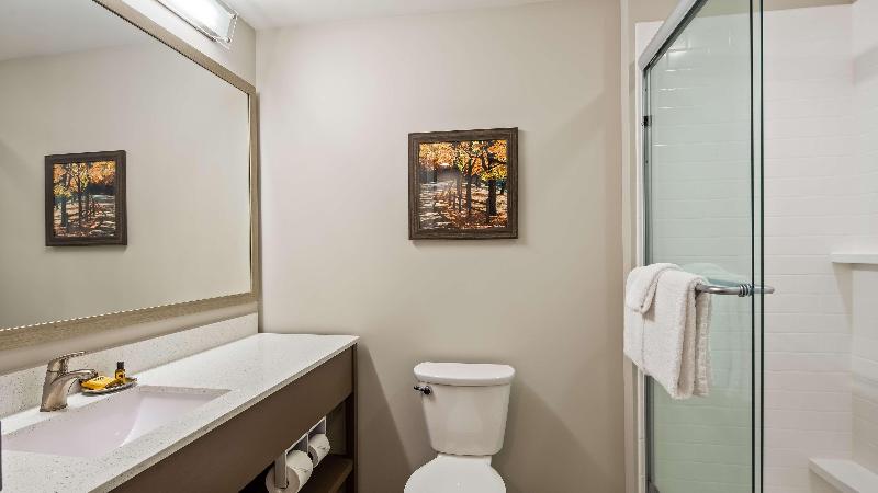 带大床的套房, Best Western Plus Bolivar Hotel & Suites