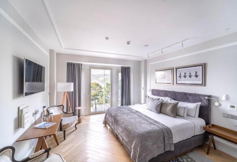 带观景的标准间, Lasala Plaza Hotel   Adults Only
