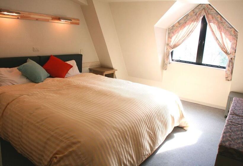 Camera Standard, Stelle Belle