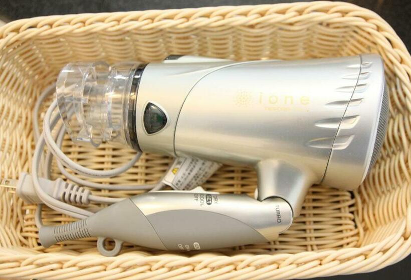 バス共有のスタンダードルーム, Toyota Shirakawa-go Eco-institute