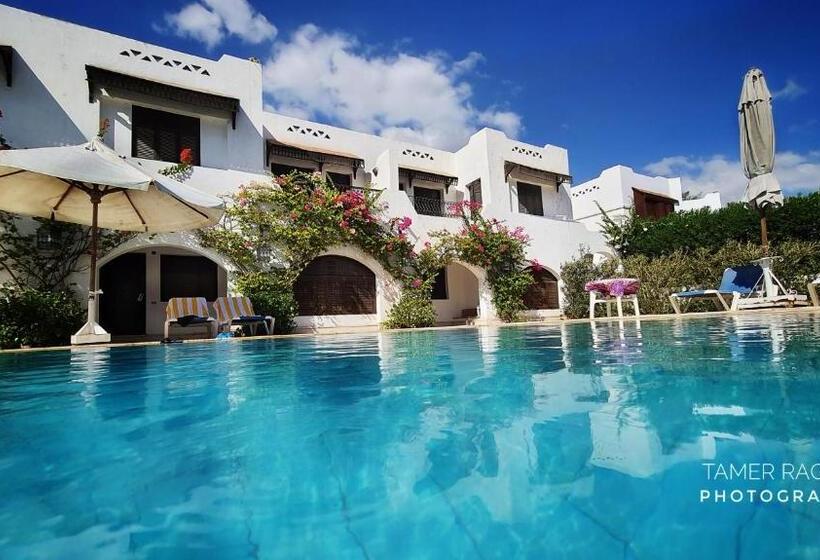 اتاق استاندارد با تخت بزرگ, Six Corners Resort