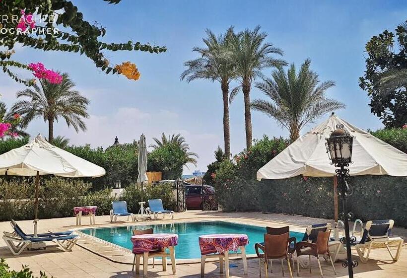 اتاق استاندارد با تخت بزرگ, Six Corners Resort