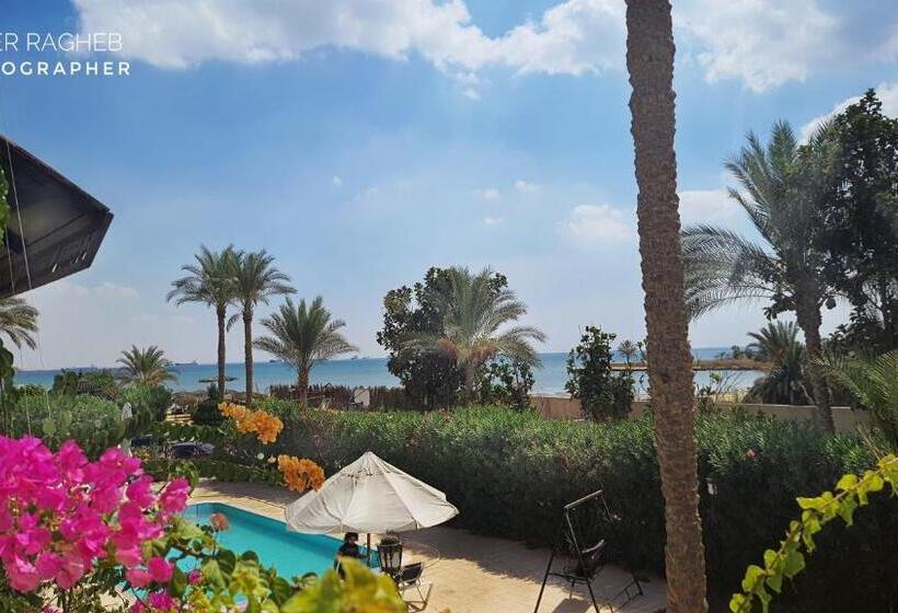 اتاق استاندارد با تخت بزرگ, Six Corners Resort