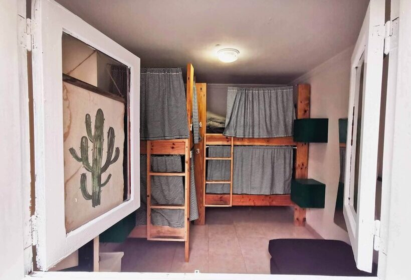 バス共有のスタンダードルーム, La Ventana Azul Surf Hostel