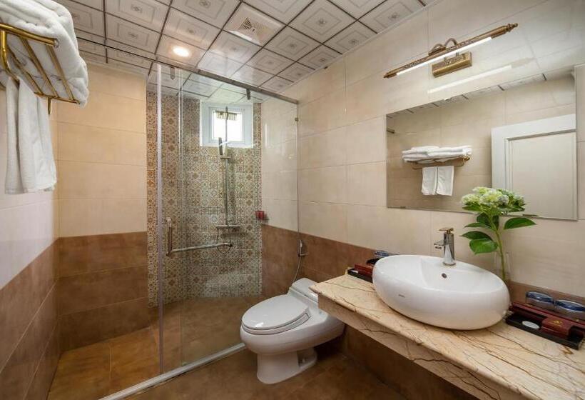 اتاق خانوادگی, Sapa Praha