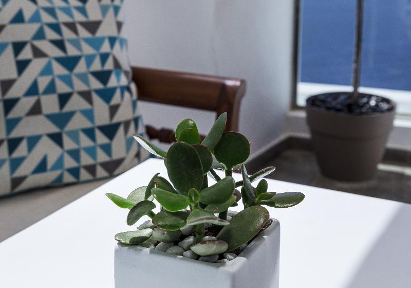 اتاق سوپریور با تخت بزرگ, Alisa Krabi Hotel Sha Plus