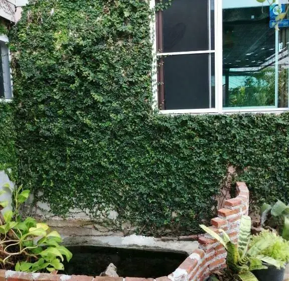اتاق استاندارد, Canaan Guesthouse
