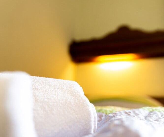 스탠다드 싱글 룸, Metzgerwirt Vieh Heli