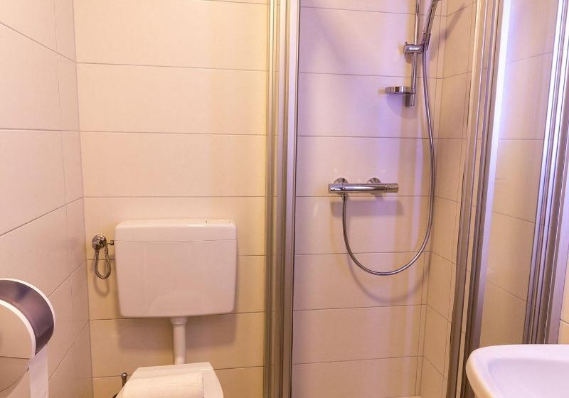 스탠다드 룸, Metzgerwirt Vieh Heli