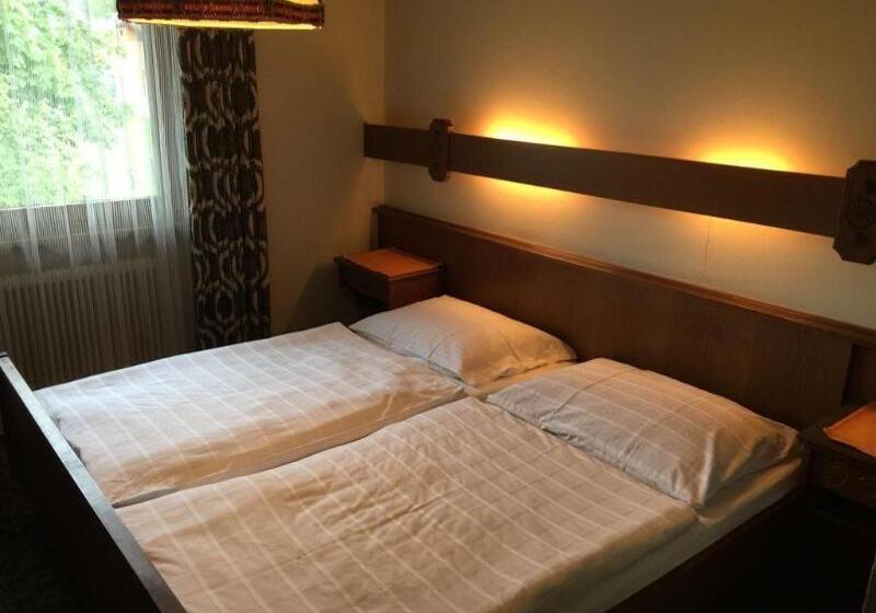 스탠다드 룸, Metzgerwirt Vieh Heli