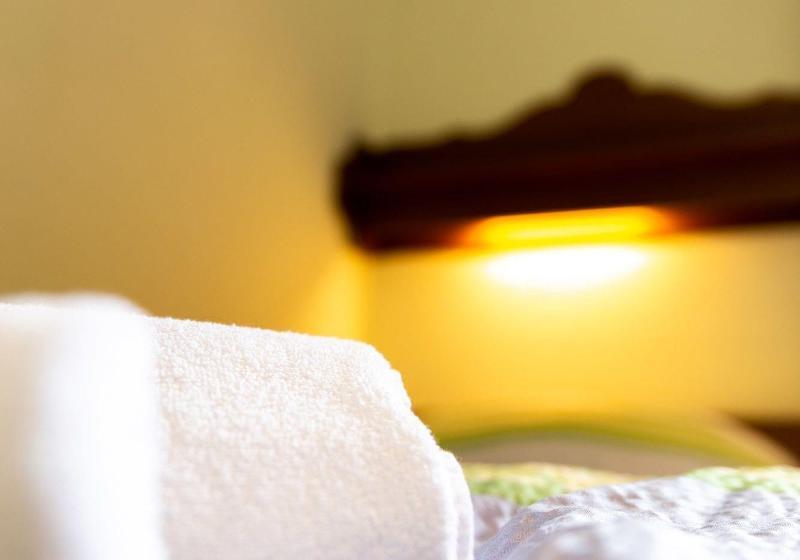 스탠다드 싱글 룸, Metzgerwirt Vieh Heli