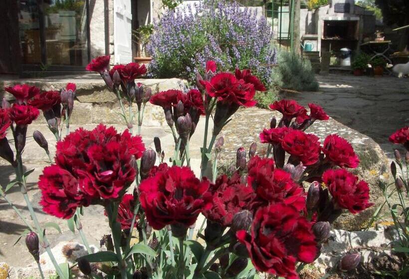 דירת חדר בקומת קרקע, Ecuries Sainte Croix