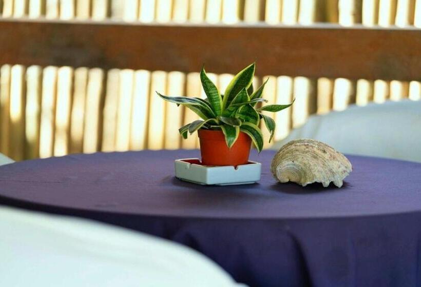اتاق لوکس با چشم‌انداز دریا, Romantic Beach Villas