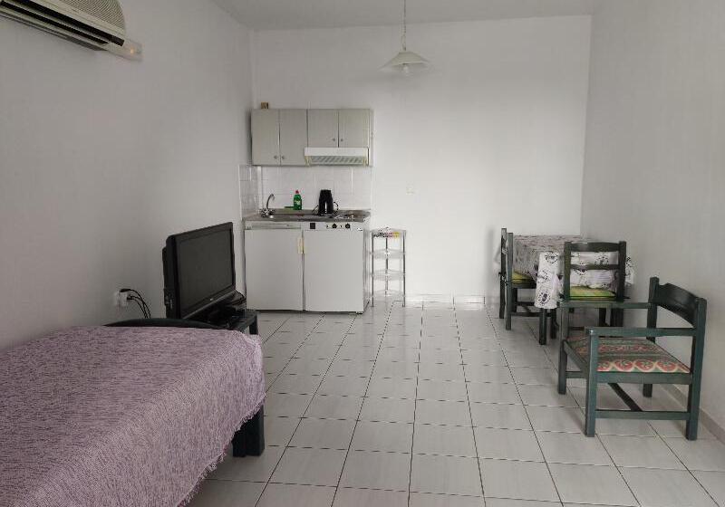 شقة غرفة واحدة مطلة على الحديقة, Zinovia