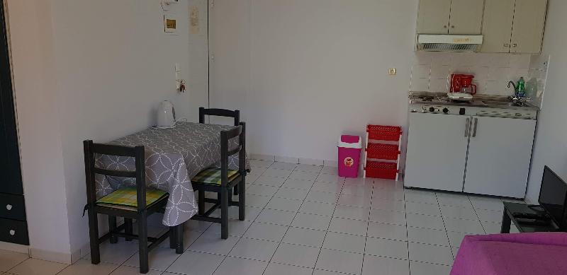 شقة غرفة واحدة مطلة على الحديقة, Zinovia