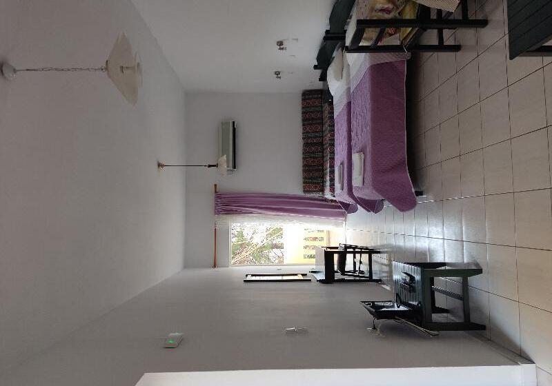 إستديو قياسى مزود بشرفة, Zinovia