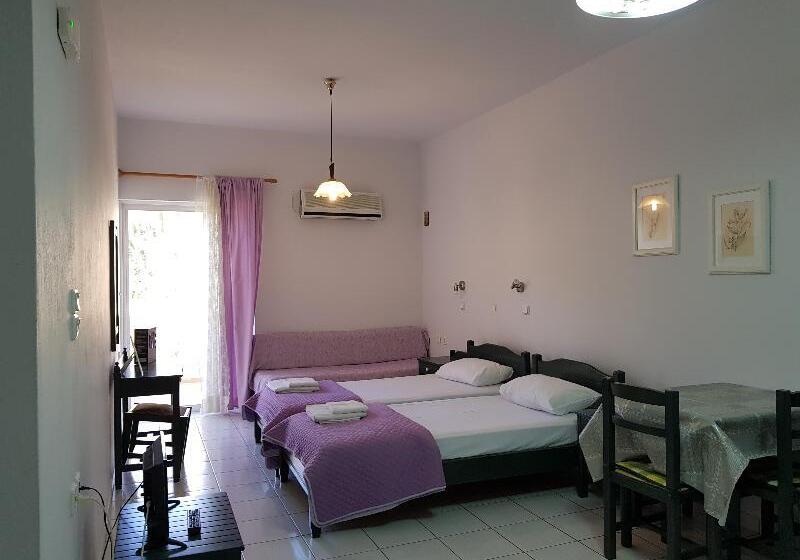 إستديو قياسى مزود بشرفة, Zinovia