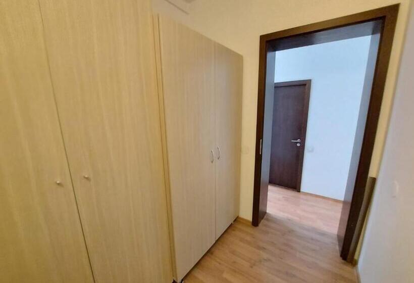 اتاق اکونومی یک تخته, Happy Accomodation