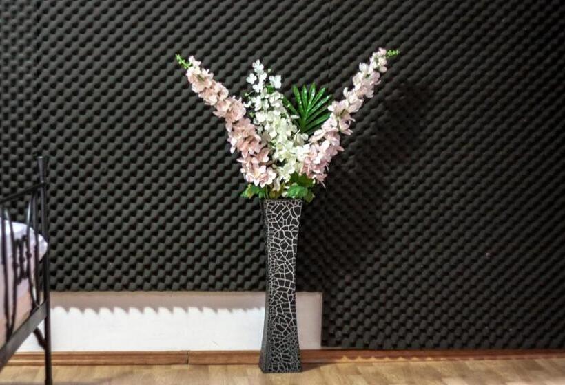 استودیوی لوکس, Happy Accomodation