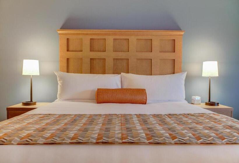 غرفة قياسية سرير كينج, The Glen House