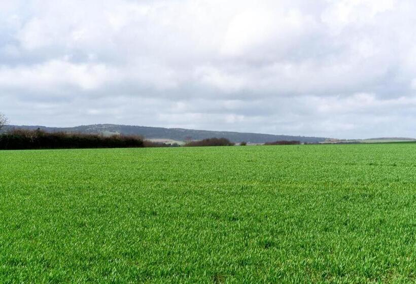 חדר קומפורט, The Royal Oak Inn