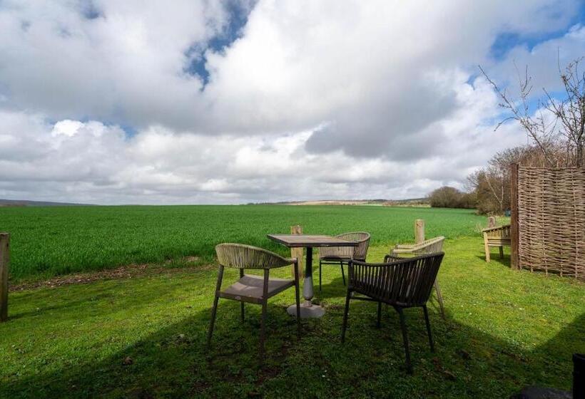 חדר קומפורט, The Royal Oak Inn